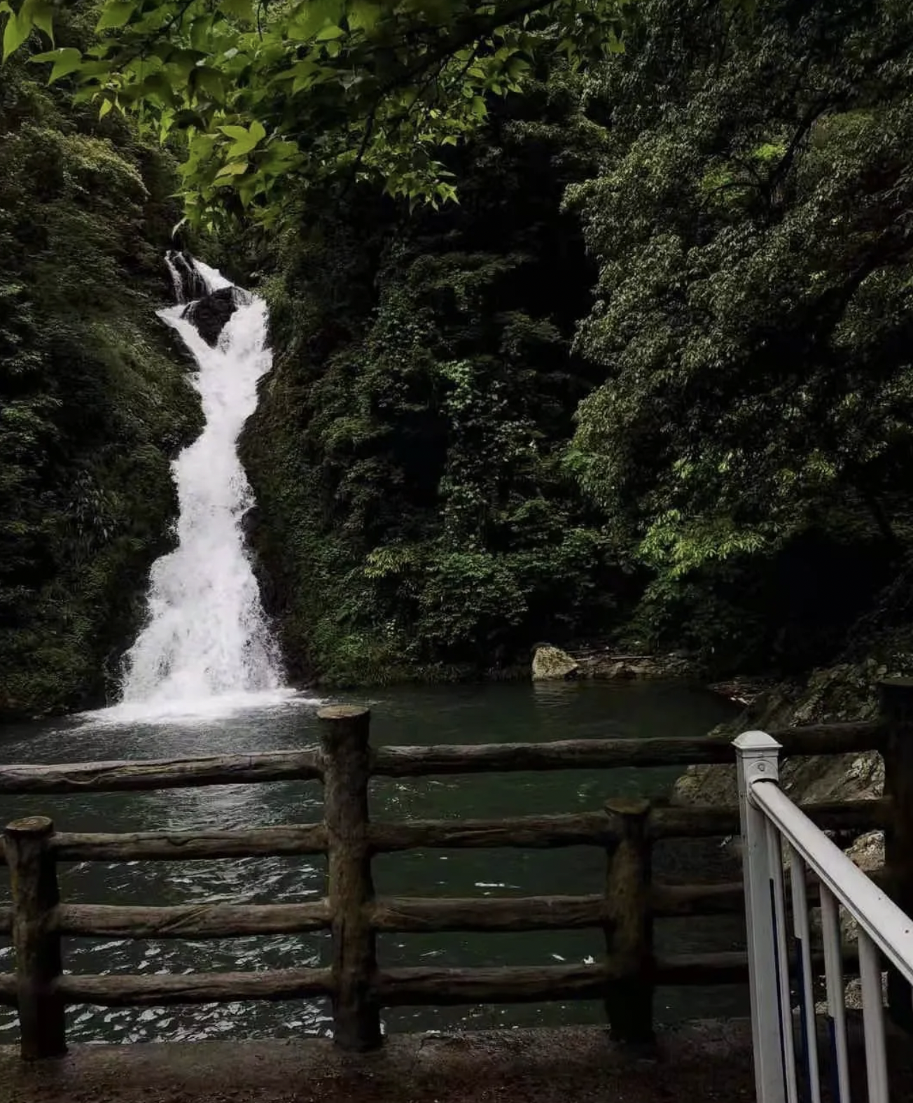 1621842652684282.png image.png